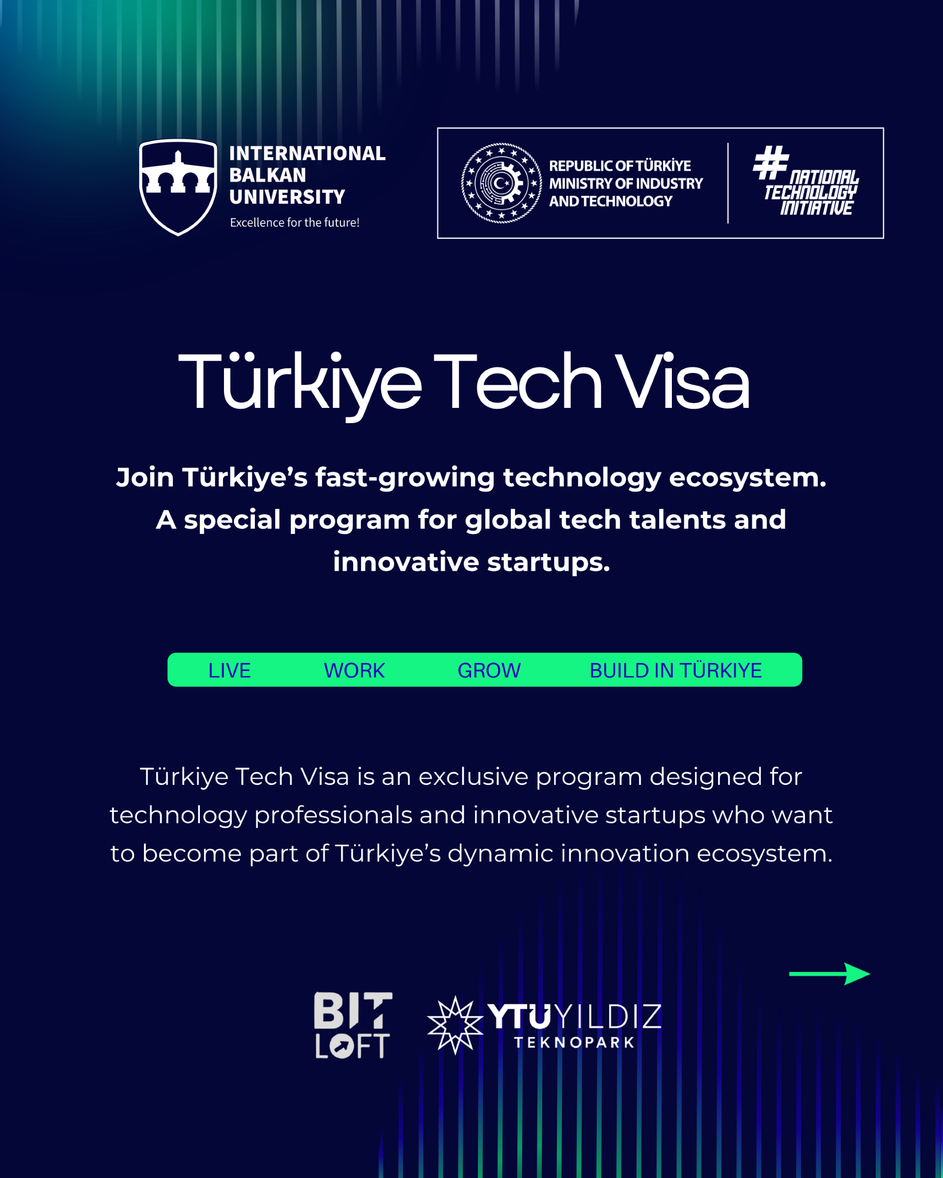TURKIYE TECH VISA.png